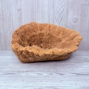 Natural sponge vase table decoration cap sea nautical beach decor nautical